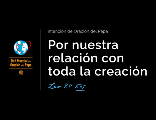 Intención de oración del Papa: Por nuestra relación con toda la creación
