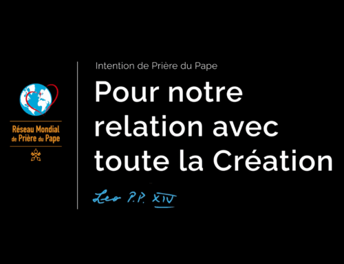 Intention de prière du Pape : Pour notre relation avec toute la Création
