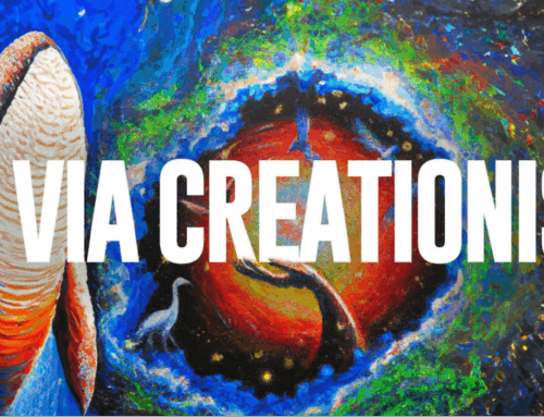 Via Creationis – Prière vidéo (SOC 2025)